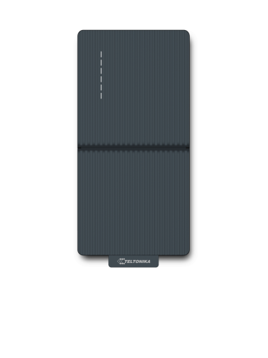 Teltonika EVC 2 22 kW įkrovimo stotelė (be integruoto kabelio)